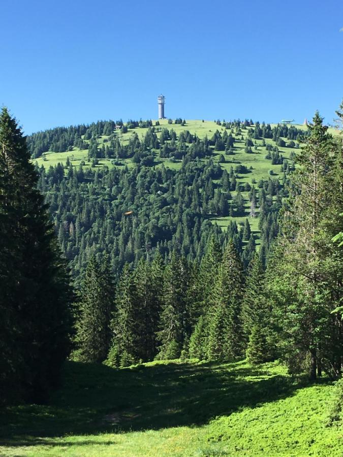 Ferienwohnung Heimweg Feldberg  Esterno foto