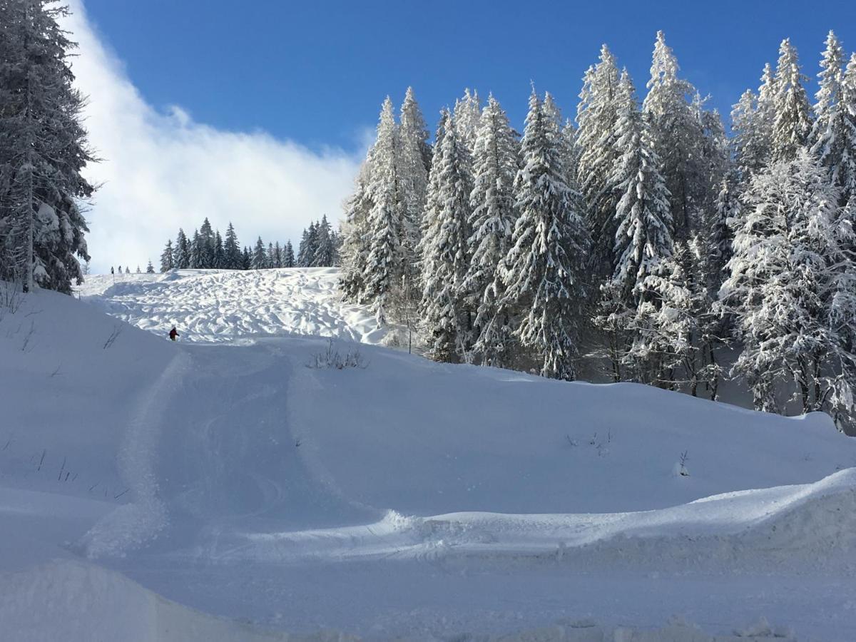 Ferienwohnung Heimweg Feldberg  Esterno foto