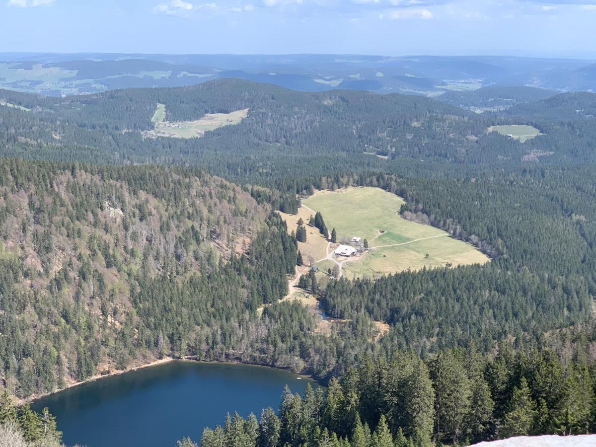 Ferienwohnung Heimweg Feldberg  Esterno foto