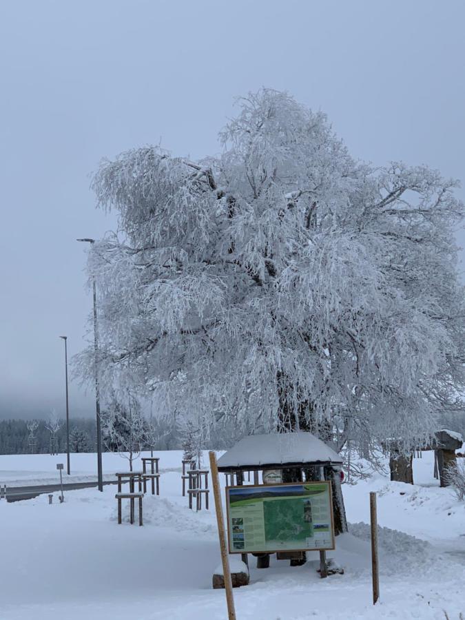 Ferienwohnung Heimweg Feldberg  Esterno foto
