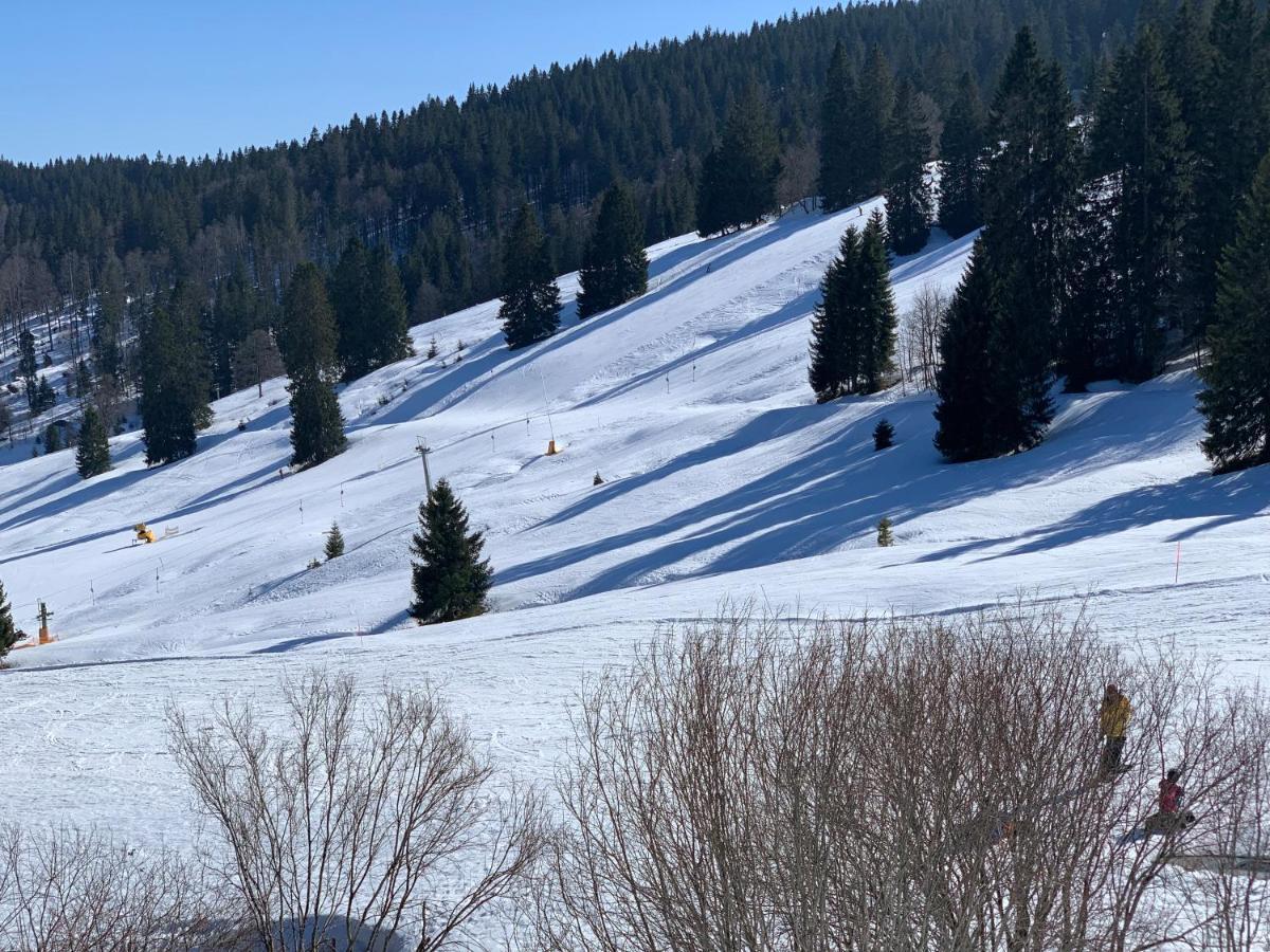 Ferienwohnung Heimweg Feldberg  Esterno foto